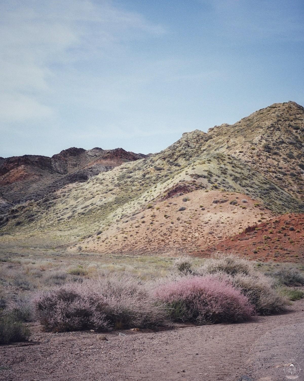 Pejzaż kazachsko-chiński (c) panpodroznik.com