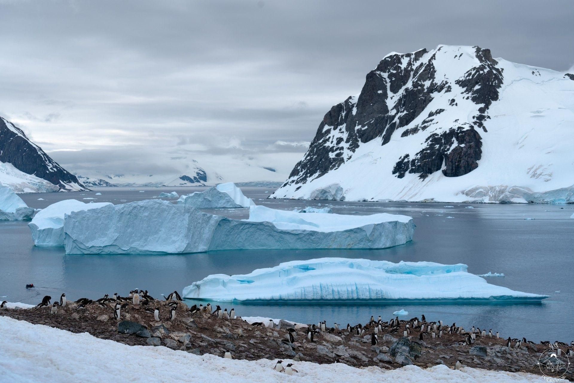 Obszar polarny Antarktyki (c) James Eades, Unsplash