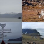 Spitsbergen 1200 banner (c) panpodroznik.com