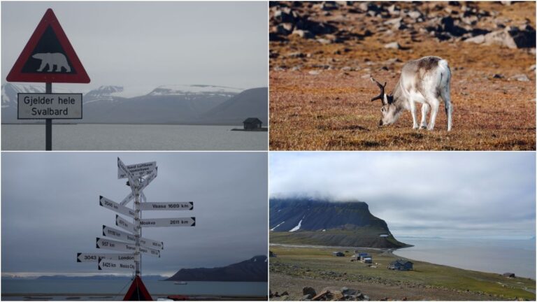 Spitsbergen 1200 banner (c) panpodroznik.com