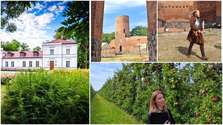 Smaki i zachwyty: wycieczka Szlakiem Jabłkowym w największym sadzie Europy Szlak Jabłkowy banner (c) panpodroznik.com