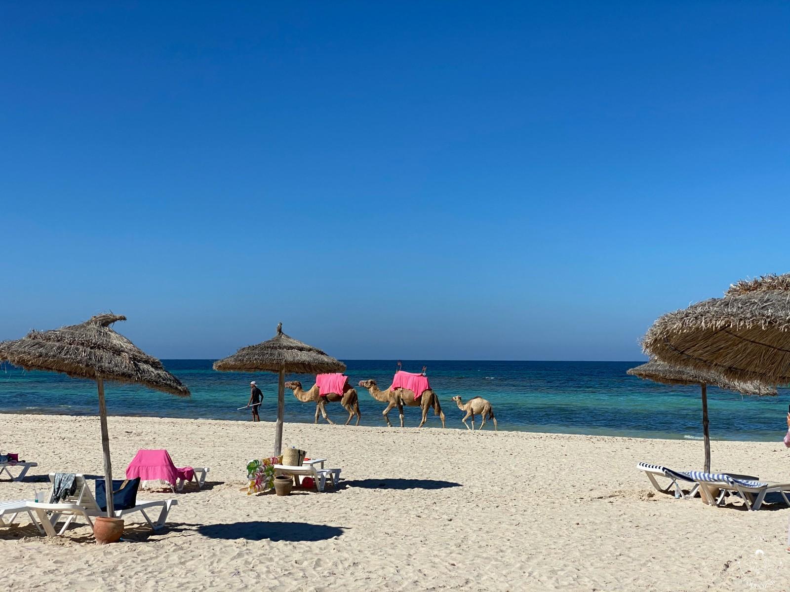 Plaża w Tunezji (c) panpodroznik.com