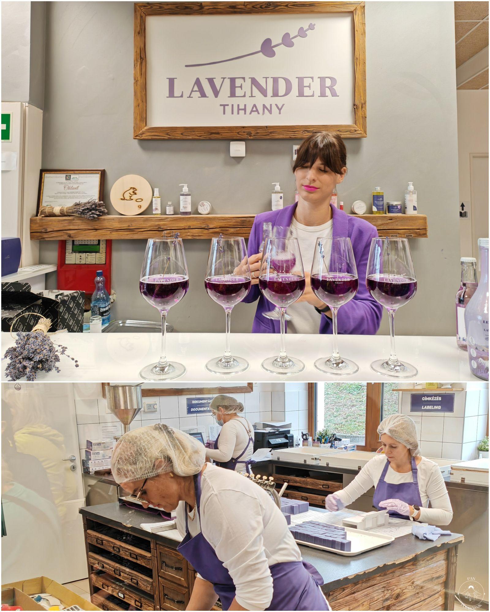 Wizyta w Lavender Tihany (c) panpodroznik.com