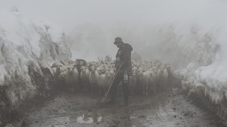 Wywiad z Magdaleną Konik banner (c) panpodroznik.com